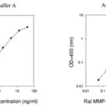 Merck Rat MMP-8 ELISA Kit