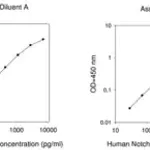 Merck Human Notch-1 ELISA Kit