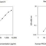 Merck Human PECAM-1 ELISA Kit