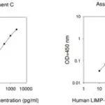 Merck Human LIMP-II ELISA Kit