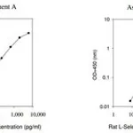 Merck Rat L-Selectin ELISA Kit