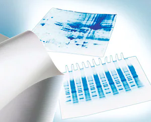Merck Immobilon-P PVDF Membrane