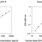 Merck Human β IG-H3 ELISA Kit
