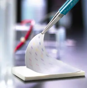 Merck Immobilon-FL PVDF Transfer Membrane