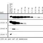 Merck Chemiluminescent Peroxidase Substrate-1