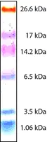 Merck Color Marker Ultra-low Range (M.W. 1,060-26,600)