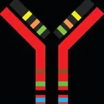 Merck SILuMAb K4 Stable-Isotope Labeled Universal Monoclonal Antibody