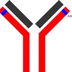 Merck SILuMAb Nivolumab Stable-Isotope Labeled Monoclonal Antibody
