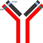 Merck SILuMAb Vedolizumab Stable-Isotope Labeled Monoclonal Antibody