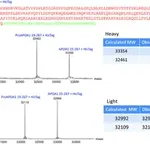 Merck SILuProt APOA1, Apolipoprotein A-1 human