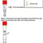 Merck Protein G Immunoprecipitation Kit