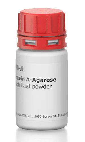 Merck Protein A–Agarose