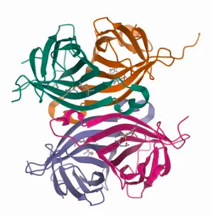Merck Streptavidin−Agarose from Streptomyces avidinii