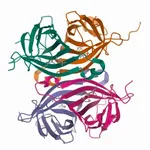 Merck Streptavidin−Agarose from Streptomyces avidinii