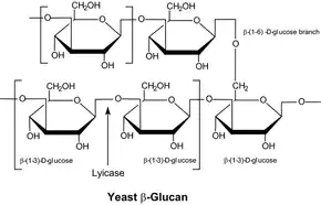 Merck Lyticase from Arthrobacter luteus