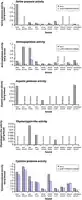 Merck Protease Inhibitor Cocktail