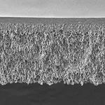 Merck Ultrafiltration Discs, 1 kDa NMW