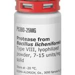 Merck Protease from Bacillus licheniformis