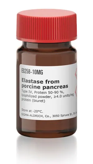 Merck Elastase from porcine pancreas