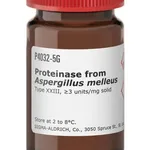Merck Proteinase from Aspergillus melleus