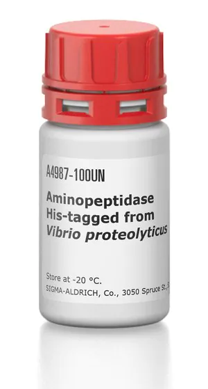 Merck Aminopeptidase His-tagged from Vibrio proteolyticus