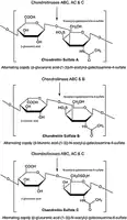 Merck Chondroitinase ABC from Proteus vulgaris