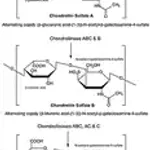 Merck Chondroitinase ABC from Proteus vulgaris