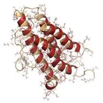 Merck Native Protein Deglycosylation Kit