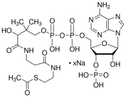 Merck Acetyl coenzyme A sodium salt