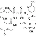 Merck Acetyl coenzyme A sodium salt