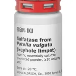 Merck Sulfatase from Patella vulgata (keyhole limpet)