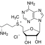 Merck S-(5′-Adenosyl)-L-methionine chloride dihydrochloride