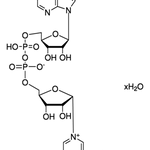 Merck β-Nicotinamide adenine dinucleotide hydrate