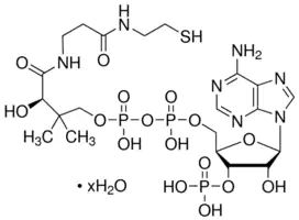 Merck Coenzyme A hydrate