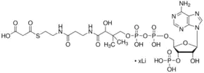Merck Malonyl coenzyme A lithium salt