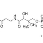 Merck Malonyl coenzyme A lithium salt