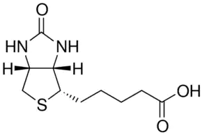 Merck Biotin
