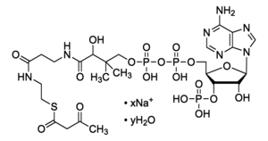 Merck Acetoacetyl coenzyme A sodium salt hydrate