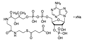 Merck Succinyl coenzyme A sodium salt