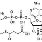 Merck Succinyl coenzyme A sodium salt