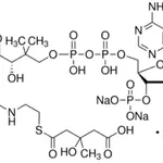 Merck DL-3-Hydroxy-3-methylglutaryl coenzyme A sodium salt hydrate