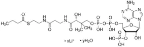 Merck Butyryl coenzyme A lithium salt hydrate