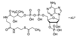 Merck n-Propionyl coenzyme A lithium salt
