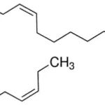 Merck all-cis-7,10,13,16,19-Docosapentaenoic acid
