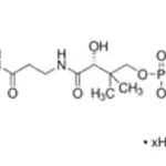 Merck Methylmalonyl coenzyme A tetralithium salt hydrate