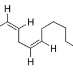 Merck cis-8,11,14-Eicosatrienoic acid