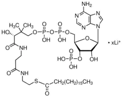 Merck Stearoyl coenzyme A lithium salt