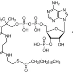 Merck Stearoyl coenzyme A lithium salt