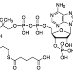 Merck Glutaryl coenzyme A lithium salt