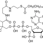 Merck n-Heptadecanoyl coenzyme A lithium salt